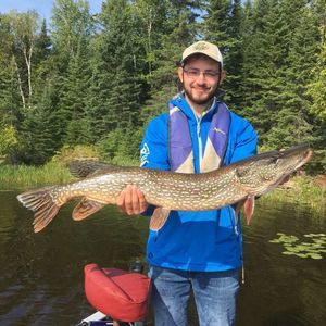 Meet your Posher, Sammy